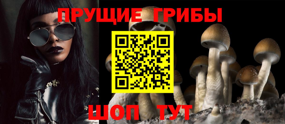 Псилоцибиновые грибы Magic Shrooms  купить закладку  Сыктывкар  Вход с VPN 